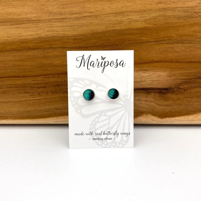 three-toned prepona butterfly wing stud earrings