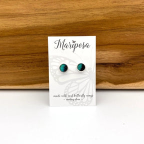three-toned prepona butterfly wing stud earrings