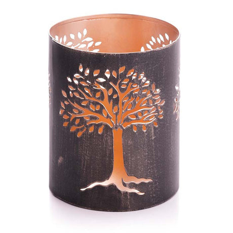 tree of life lantern white background