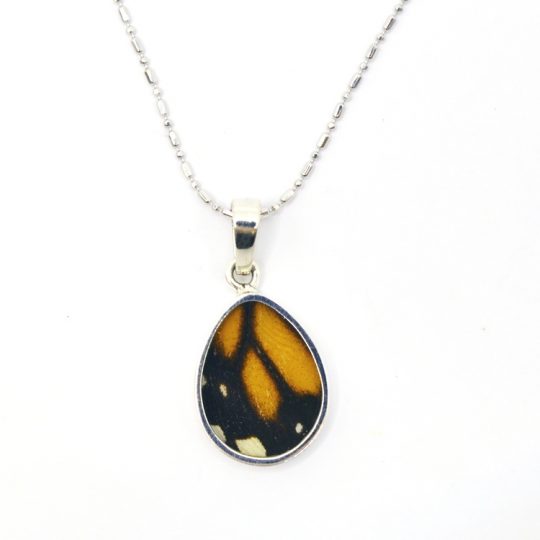 monarch butterfly wing necklace